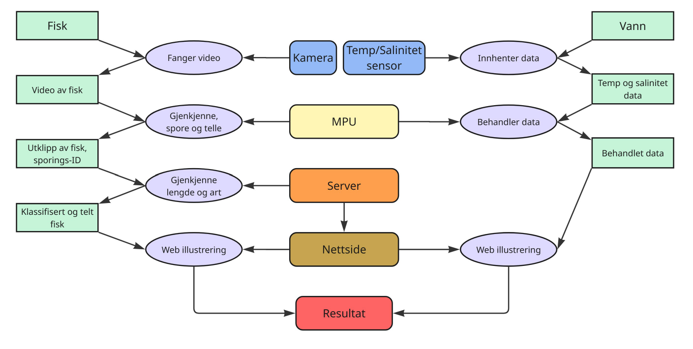Dataflytdiagram for systemet på norsk. Inngangene «Fisk» og «Vann» mater inn i nodene «Fanger video» og «Innhenter data» via kameraer og en temperatur/saltholdighetssensor. MPU-en sender data videre til en «Server» som utfører «Gjenkjenne lengde og art», før det går videre til en «Nettside» og en «Resultat»-node.